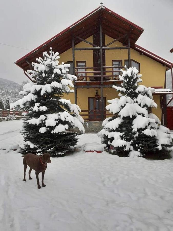 Vila Coman Întorsura Buzăului Exterior foto